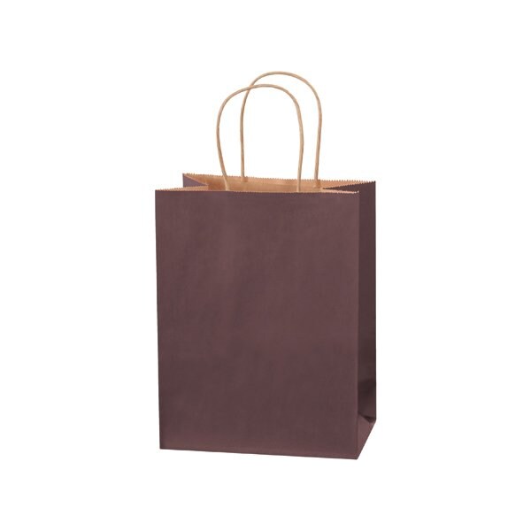 Bsc Preferred 8 x 4-1/2 x 10 1/4'' Brown Tinted Shopping Bags, 250PK BUY00029586 - main
